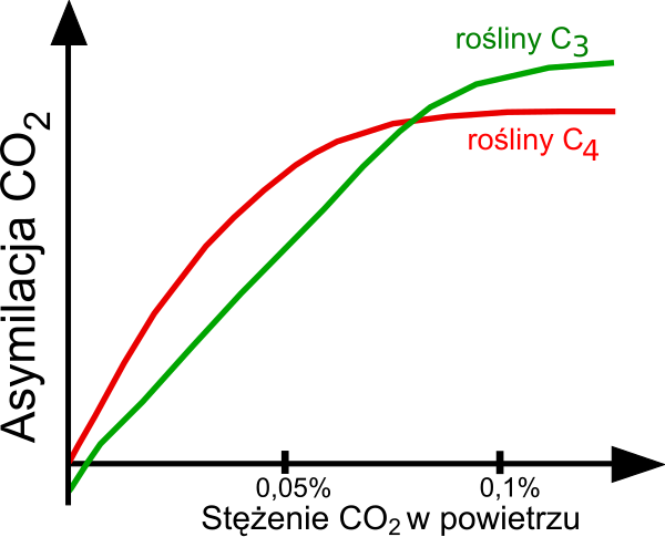 600px-Photosynthesis_CO2_concentration.s