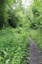 Thumbnail for File:Pilley Nature Reserve - geograph.org.uk - 3023085.jpg