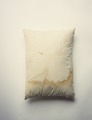 The Pillow Abraham Lincoln died on