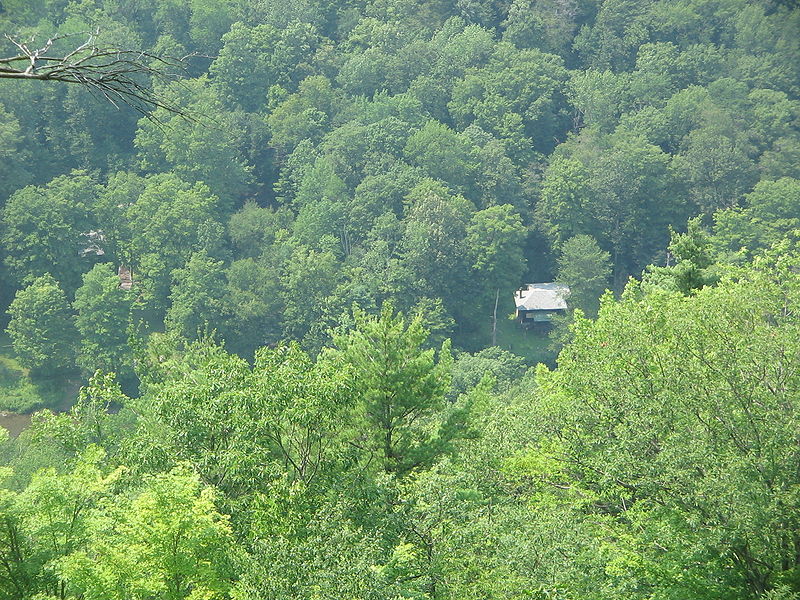 File:Pine Creek Gorge Cabins.jpg