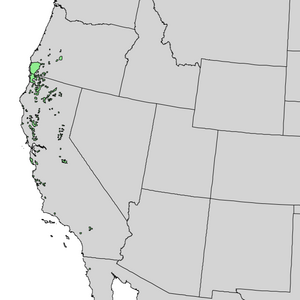 Pinus attenuata range map 1.png