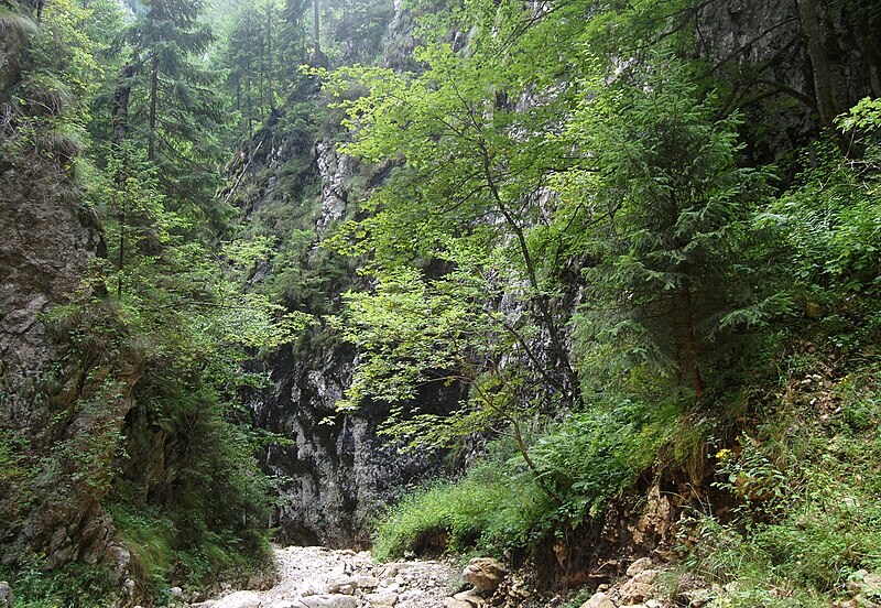 File:Pisicii gorge.jpg