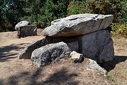 Image illustrative de l’article Dolmens de Kervadol