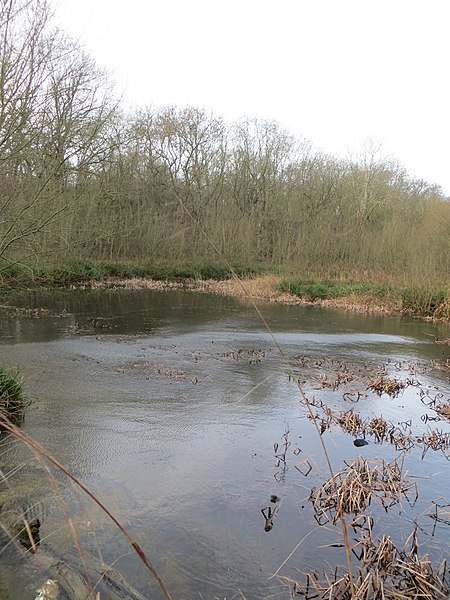 File:Pond in Aversley Wood - December 2015 - panoramio.jpg