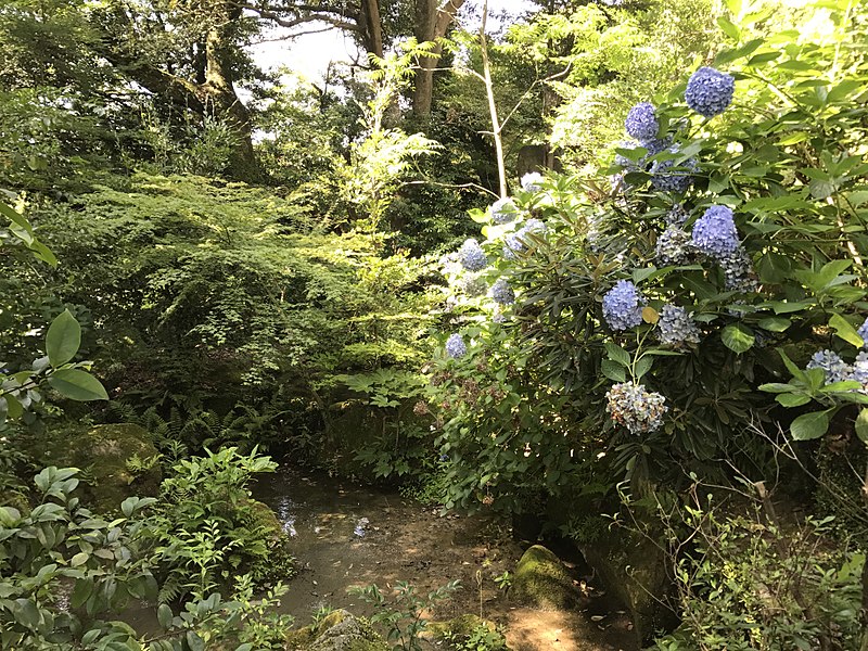 File:Pond in Kamado Shrine.jpg