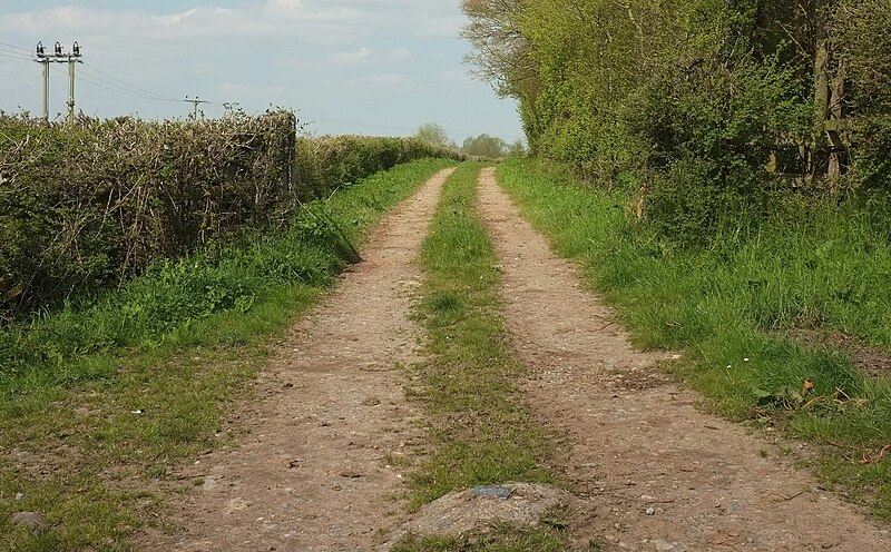 File:Portmoor Drove - geograph.org.uk - 6124927.jpg