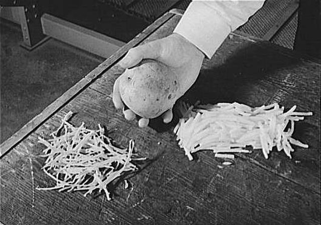 A whole potato, sliced pieces (right), and dried sliced pieces (left), 1943