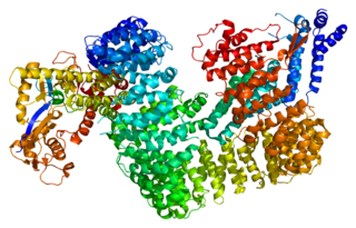 <span class="mw-page-title-main">CAND1</span> Protein-coding gene in humans