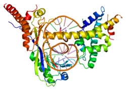 Proteini DRAP1 PDB 1jfi.png