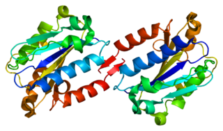 <span class="mw-page-title-main">Integrin alpha L</span> Mammalian protein found in Homo sapiens