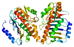 Ақуыз MAGOH PDB 1hl6.png