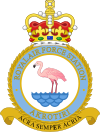 RAF Akrotiri badge.svg