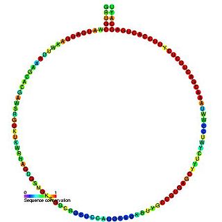 <span class="mw-page-title-main">Small nucleolar RNA Z152/R70/R12</span>