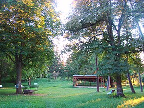 Parcul conacului Zsombory (monument istoric)