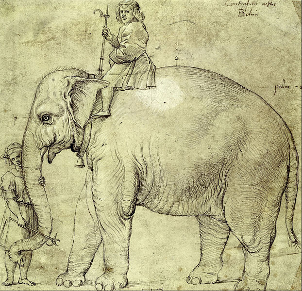 File:Raffaello Sanzio (school of) - The Elephant Hanno - Google Art Project.jpg