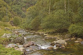 Riu de Tavascan aigües avall del pont de la Bolle (Pallars Sobirà).jpg