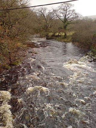 <span class="mw-page-title-main">River Tavy</span> River in Devon, England