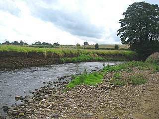 <span class="mw-page-title-main">River Laver</span> River in North Yorkshire, England