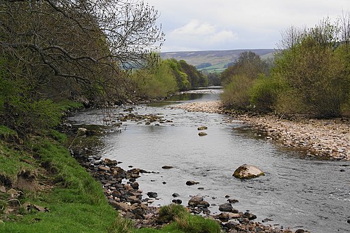 River Swale between Grinton and Marrick - geograph.org.uk - 1852834