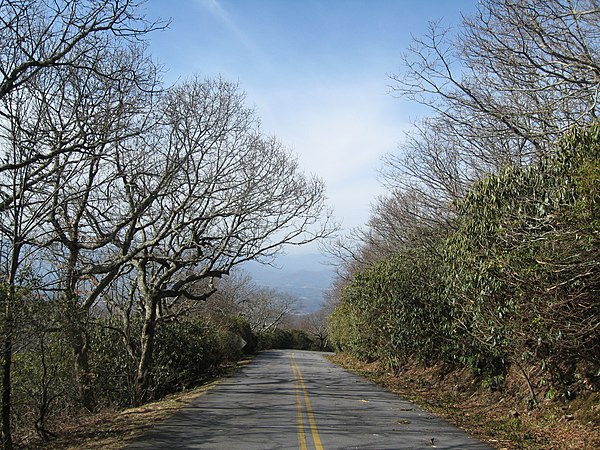 Road to Brasstown Bald