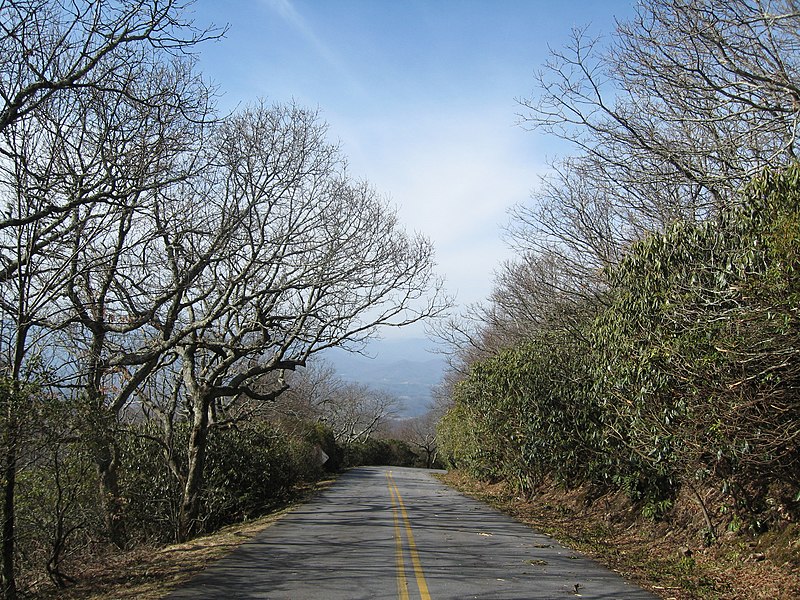 File:Road to Brasstown Summit.jpg