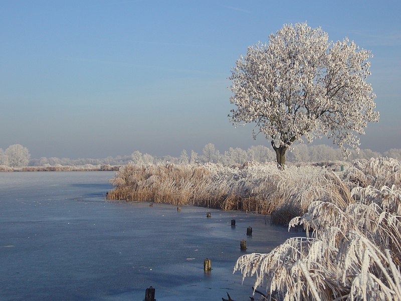 File:Rottemeren Zevenhuizen ZH - winter 2009 - panoramio - HAns.jpg
