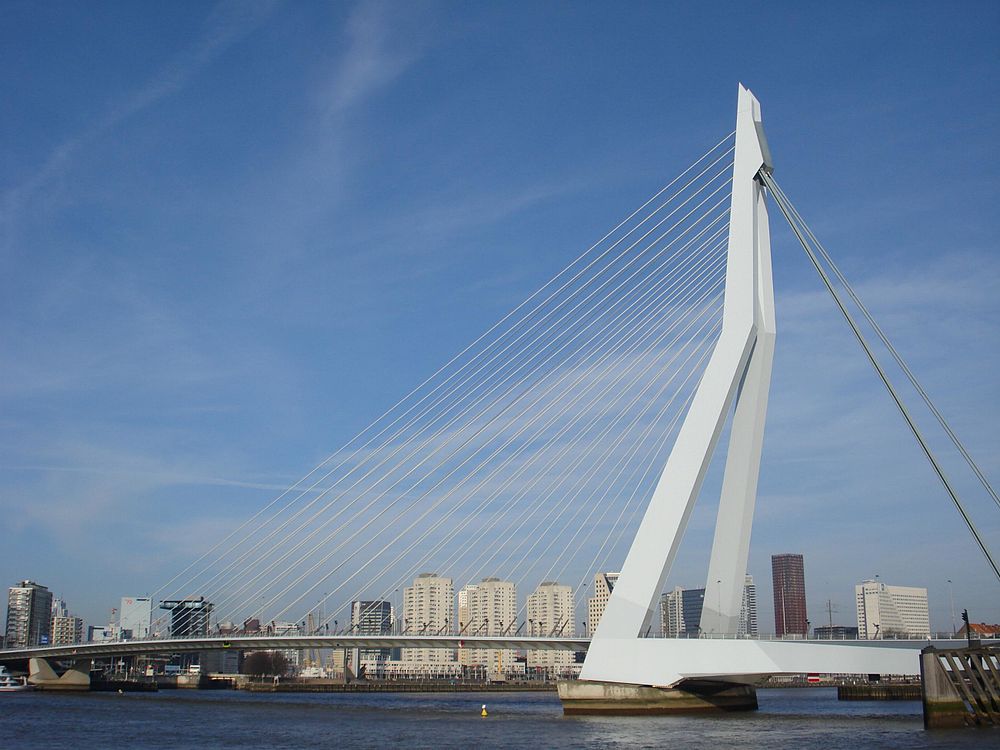 Rotterdam erasmusbrug.jpg