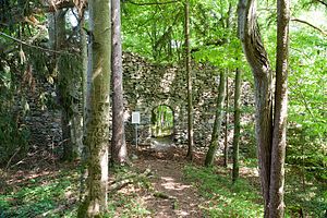 Schwarzenöd ruins