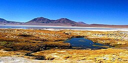 Salar de Huasco och Wila Qullu (till vänster)
