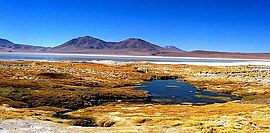 Salar de huasco.jpg