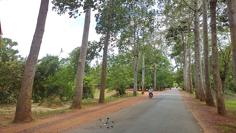 File:Sangkat Nokor Thum, Krong Siem Reap, Cambodia - panoramio (77).jpg