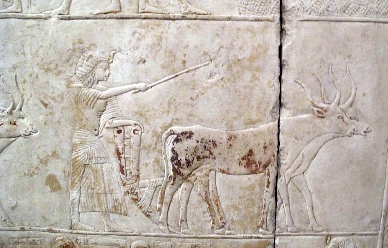 File:Saqqara, rilievo di horemheb, 1332-1323 ac., A 02.JPG