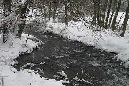 Schalesbach im Winter