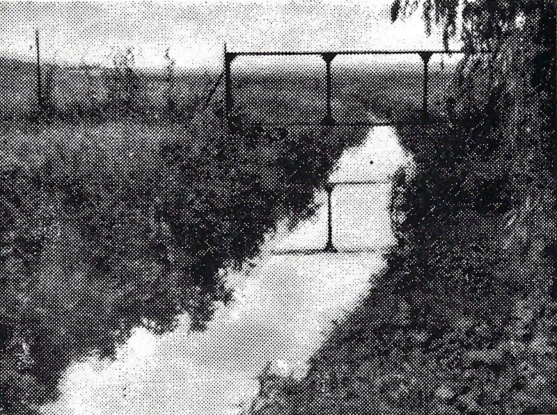 File:Schrote nördlich von Magdeburg mit Zaun über dem Wasserlauf.jpg