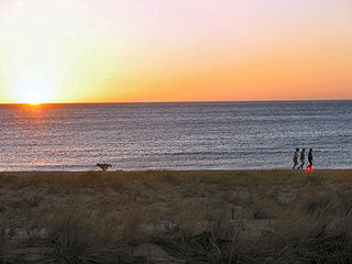 <span class="mw-page-title-main">Seacliff, South Australia</span> Suburb of Adelaide, South Australia