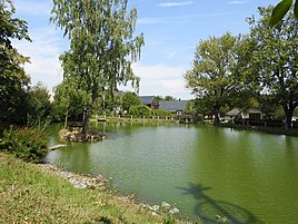 Village pond in Heidelheim