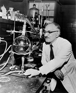 סלמן וקסמן במעבדה, 1953