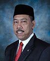 Senator Muhammad Afnan Hadikusumo.jpg
