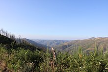 Serra do Açor - Mata da Margaraça 32.jpg