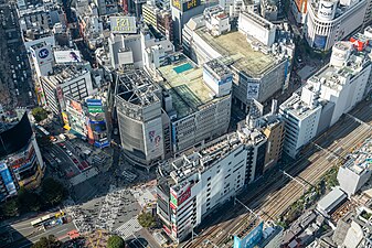 Shibuya: Storia, Geografia, Attrazioni turistiche