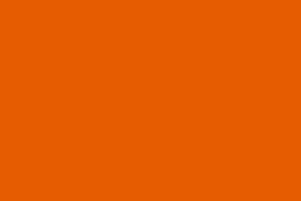 File:Single Color Flag - E65C01.svg - Wikimedia Commons