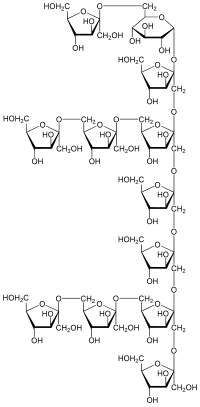 Possible structure of sinistrin