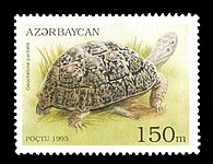 Tartaruga leopardo in un francobollo di Azerbaijan