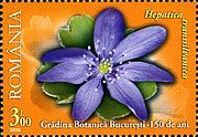 On a 2010 Romanian postage stamp