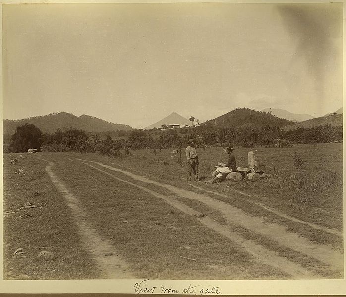 File:StateLibQld 1 233468 From the entrance to Hambledon House, near Cairns, ca.1890.jpg