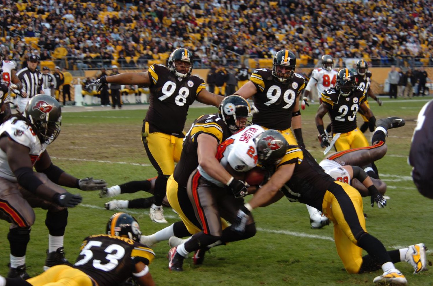 Troy Polamalu, Pittsburgh Steelers Wiki