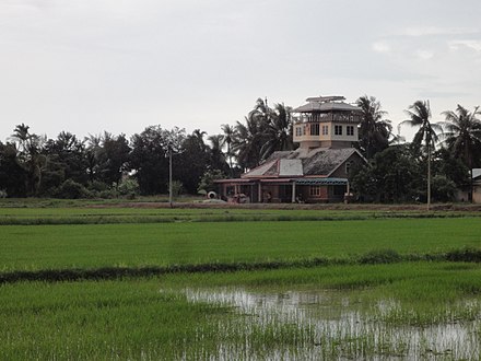 A kampung house with an observation tower, located in a paddy field in Kuala Kedah, the outskirts of Alor Setar