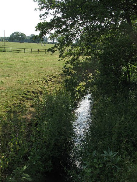 Sunlit stream (geograph 1946219)