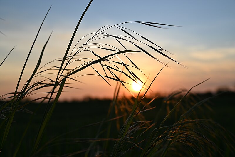 File:Sunset in Vojvodina, part 2.jpg