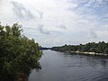 Suwannee River sb from Frank R. Norris Bridge